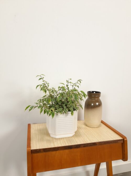 Vintage witte bloempot op voet met strepen