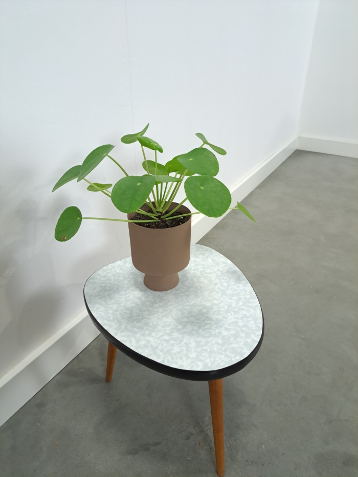 Vintage bijzettafel plantentafel met wit lichtblauw formica blad, nr. 30