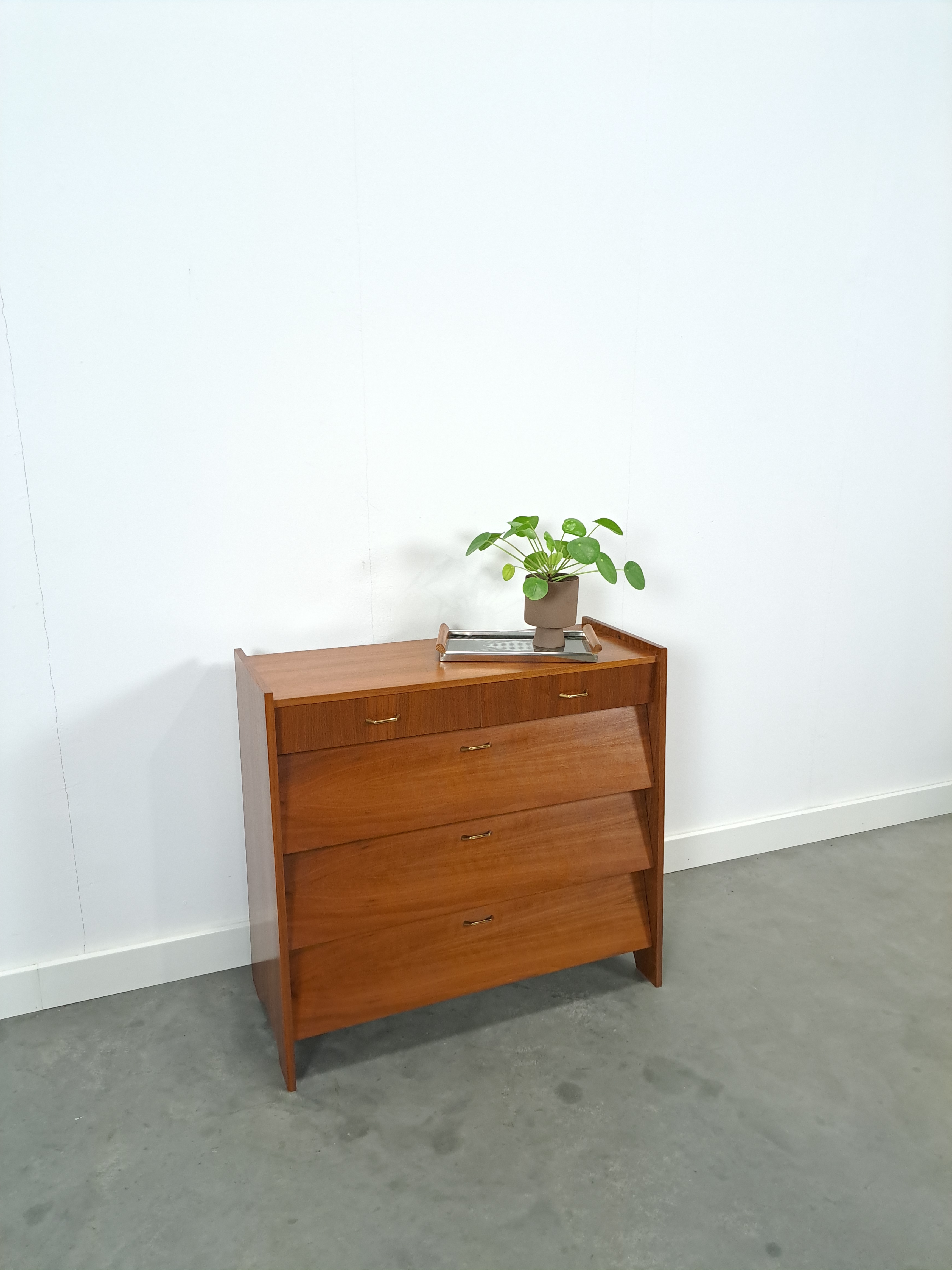 Vintage fineer schoenenkast met lades, opbergkast