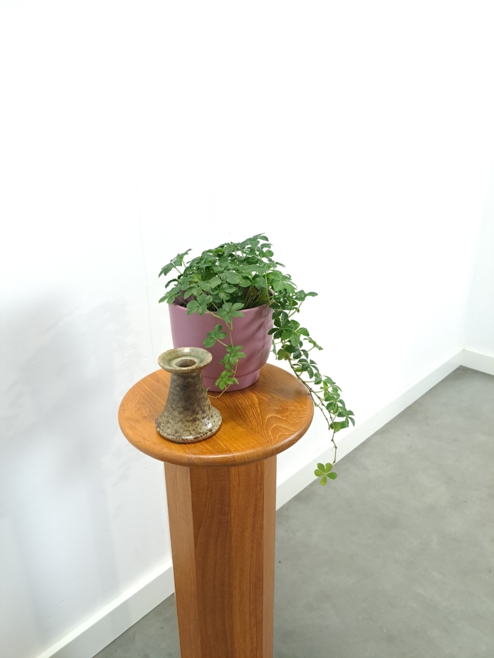 Vintage teakhouten pilaar, planten standaard